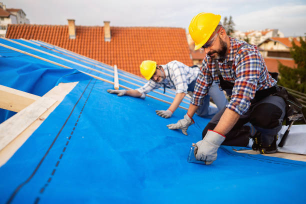 Best Roof Insulation Installation  in Chauvin, LA